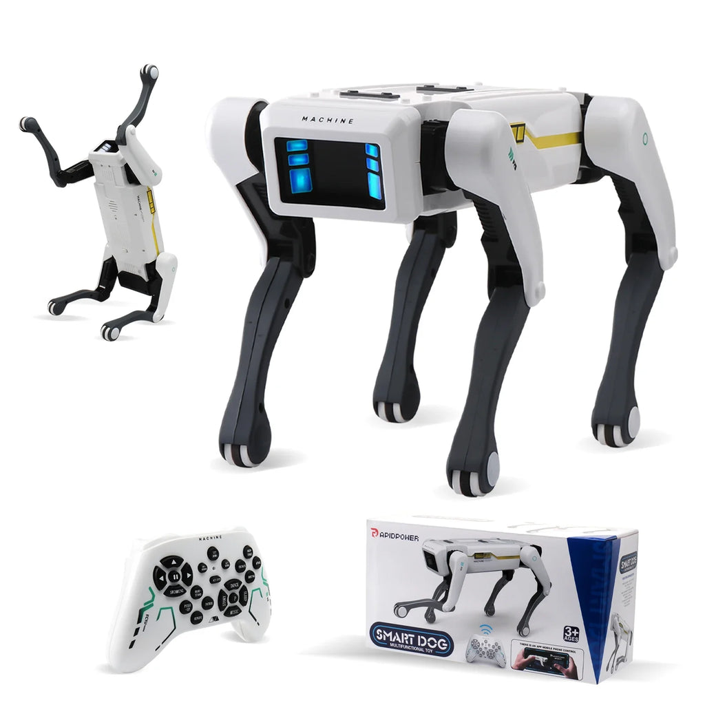 Smart AI Interactive Robotic Companion