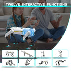 Smart AI Interactive Robotic Companion