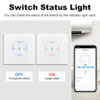 Aura Smart High-Power Switch